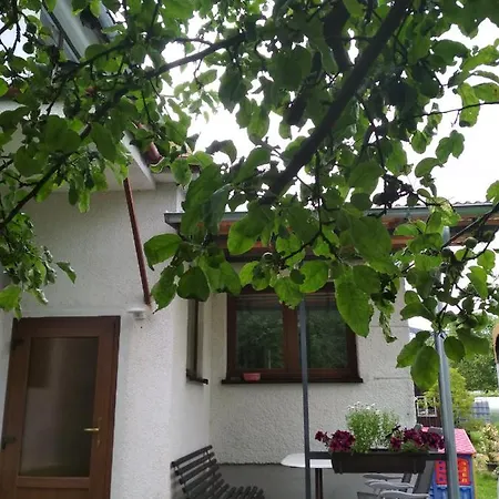 Ubytovani U Babicky Velké Losiny Exterior foto