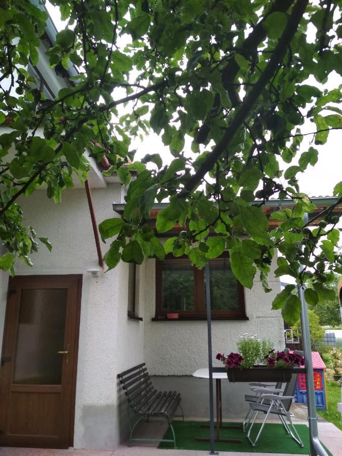 Apartment U Babicky Velke Losiny